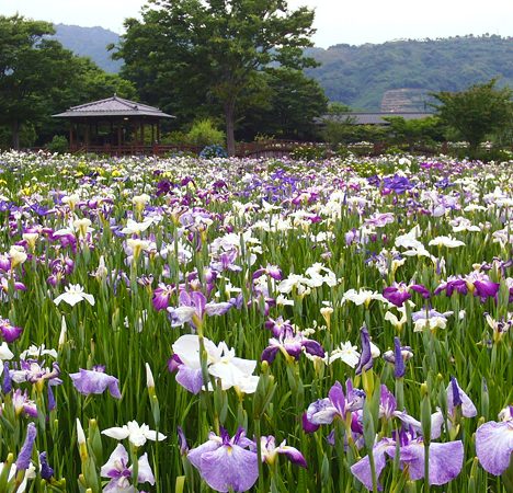 赤い恵那峡大橋とダム湖のコントラストが素晴らしかった