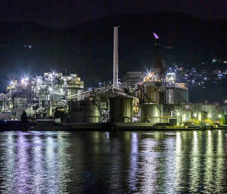 公園の周りに所狭しと出展ブースがならび、北海道の幸がズラリとあるではあーりませんか！