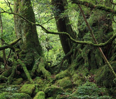 鉄道の旅って、普段の旅と違ってどこかワクワクしますよね♪