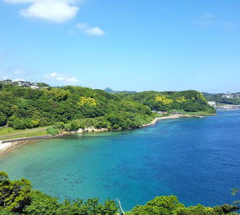 阿蘇の内牧を歩くウォーキングツアーに行ってきました、外輪山や阿蘇五岳がすごくきれいに見えました！