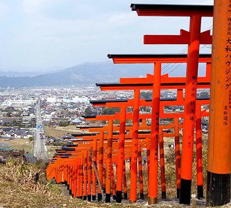 合馬の筍づくし料理と旧伊藤伝右衛門邸 御座敷雛